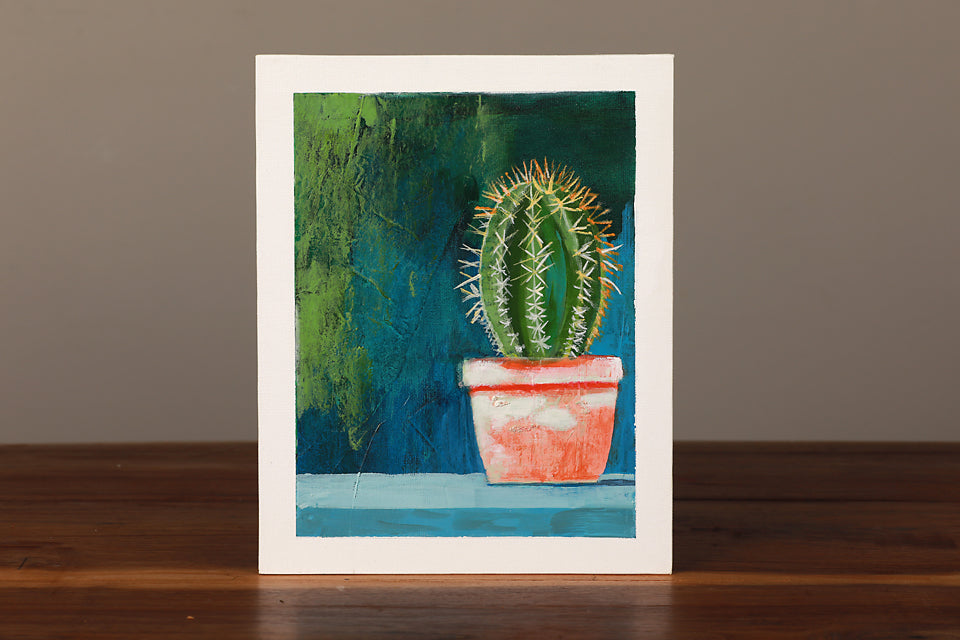 Little Mini Succulents