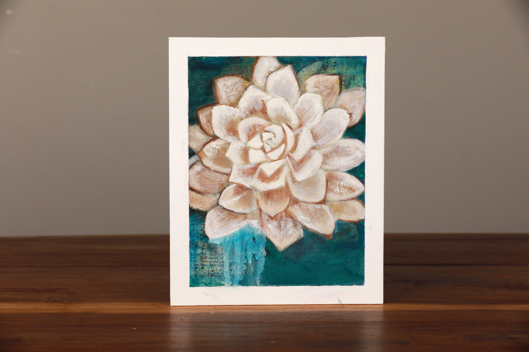 Little Mini Succulents