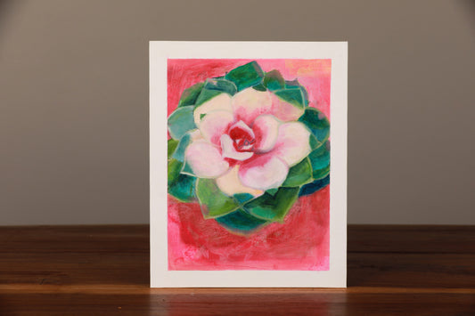 Little Mini Succulents